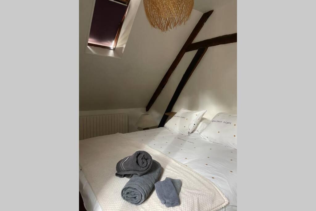 Appartement «La Vie Est Belle» Au Coeur De Sezanne Exterior photo